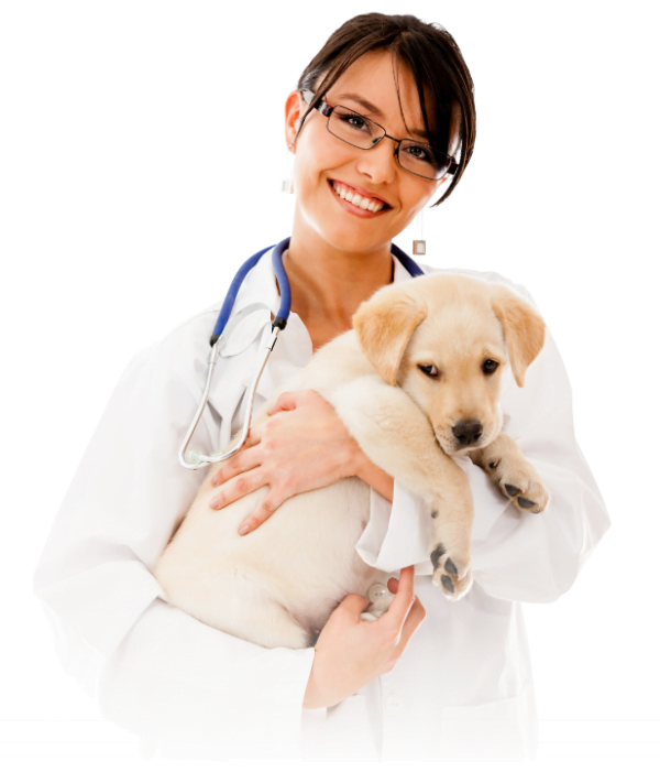 VET LEARNING