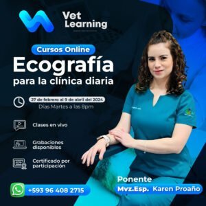 Ecografía para la Clínica Diaria