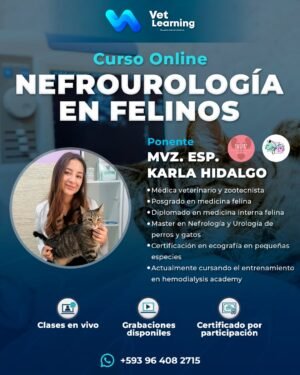 Nefrourología en Felinos