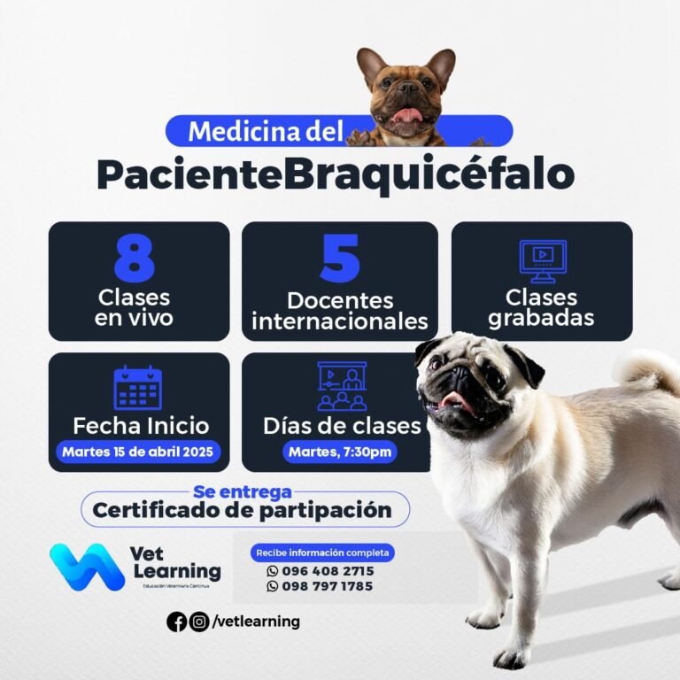Paciente Braquicefálico