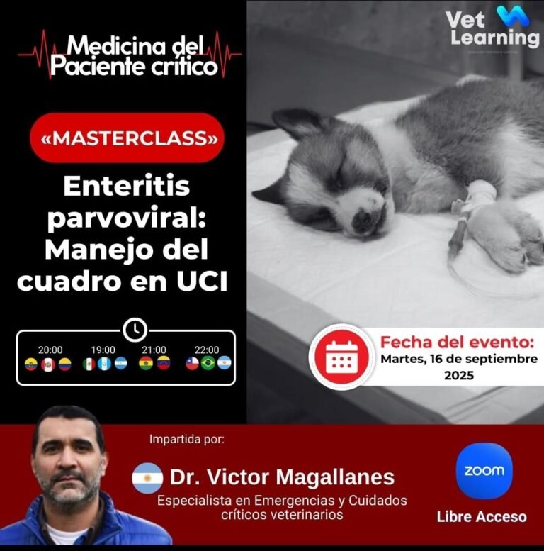 Parvovirus Canino- Manejo del Cuadro en UCI (Libre Acceso)