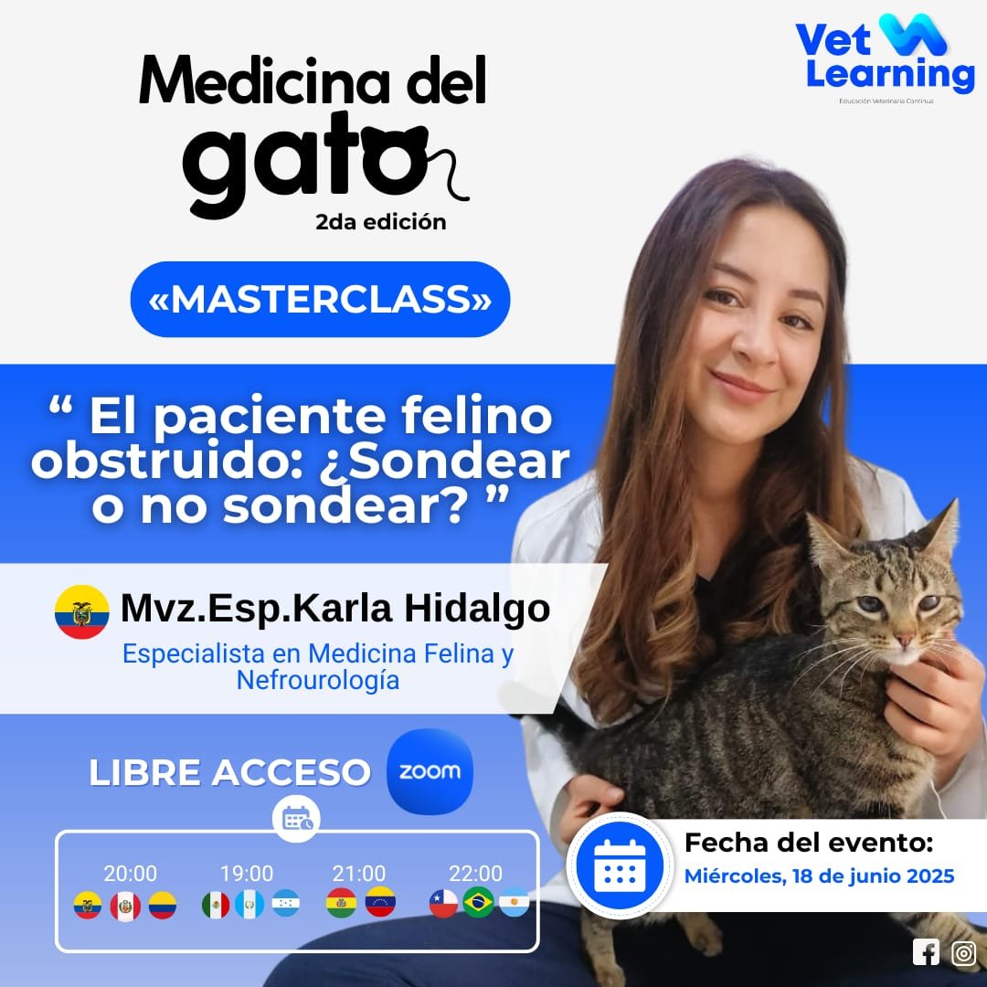 El Paciente Felino Obstruido- Sondear o No Sondear? (Libre Acceso)