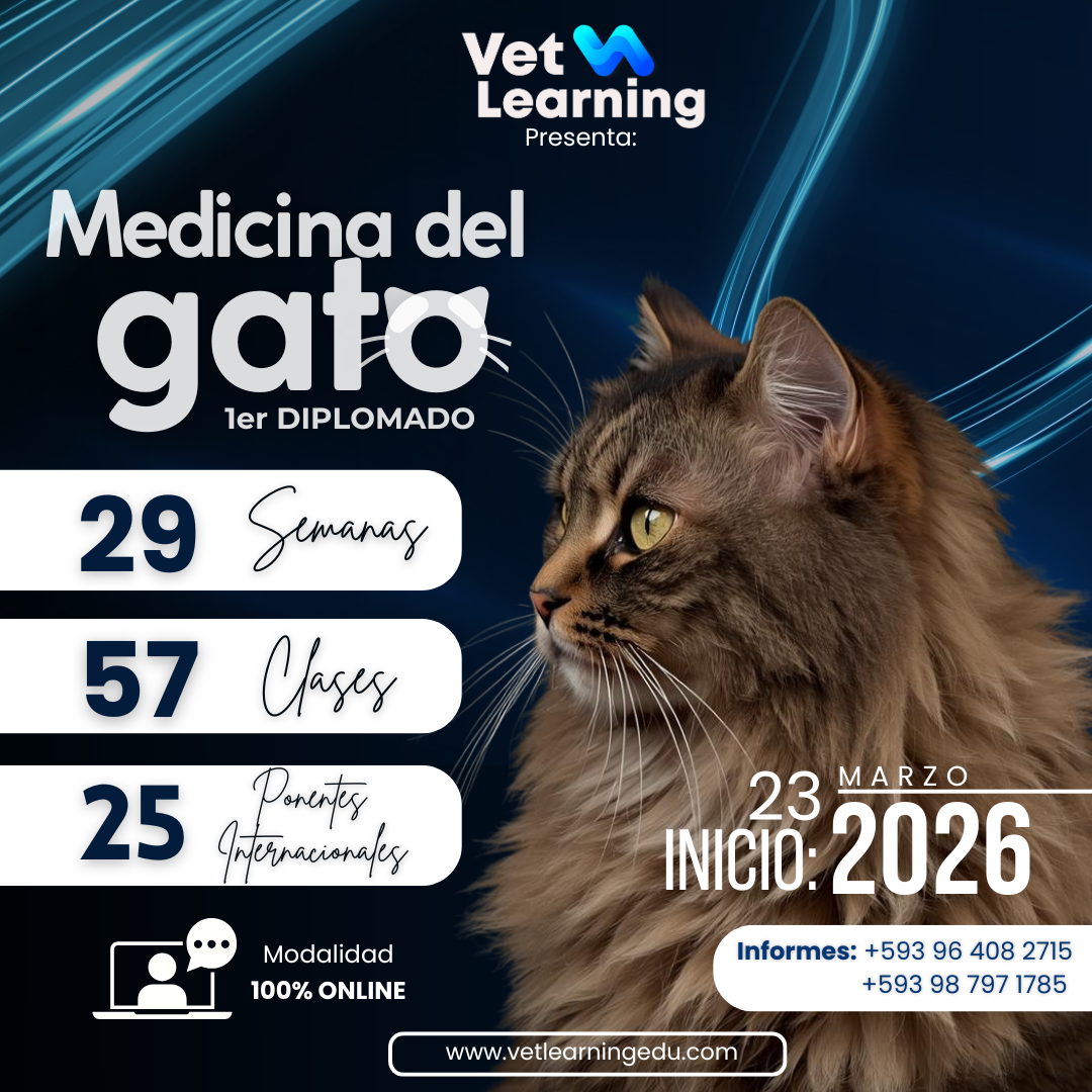 Diplomado Medicina del Gato