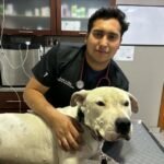 Jorge Andrés Bastidas Cárdenas