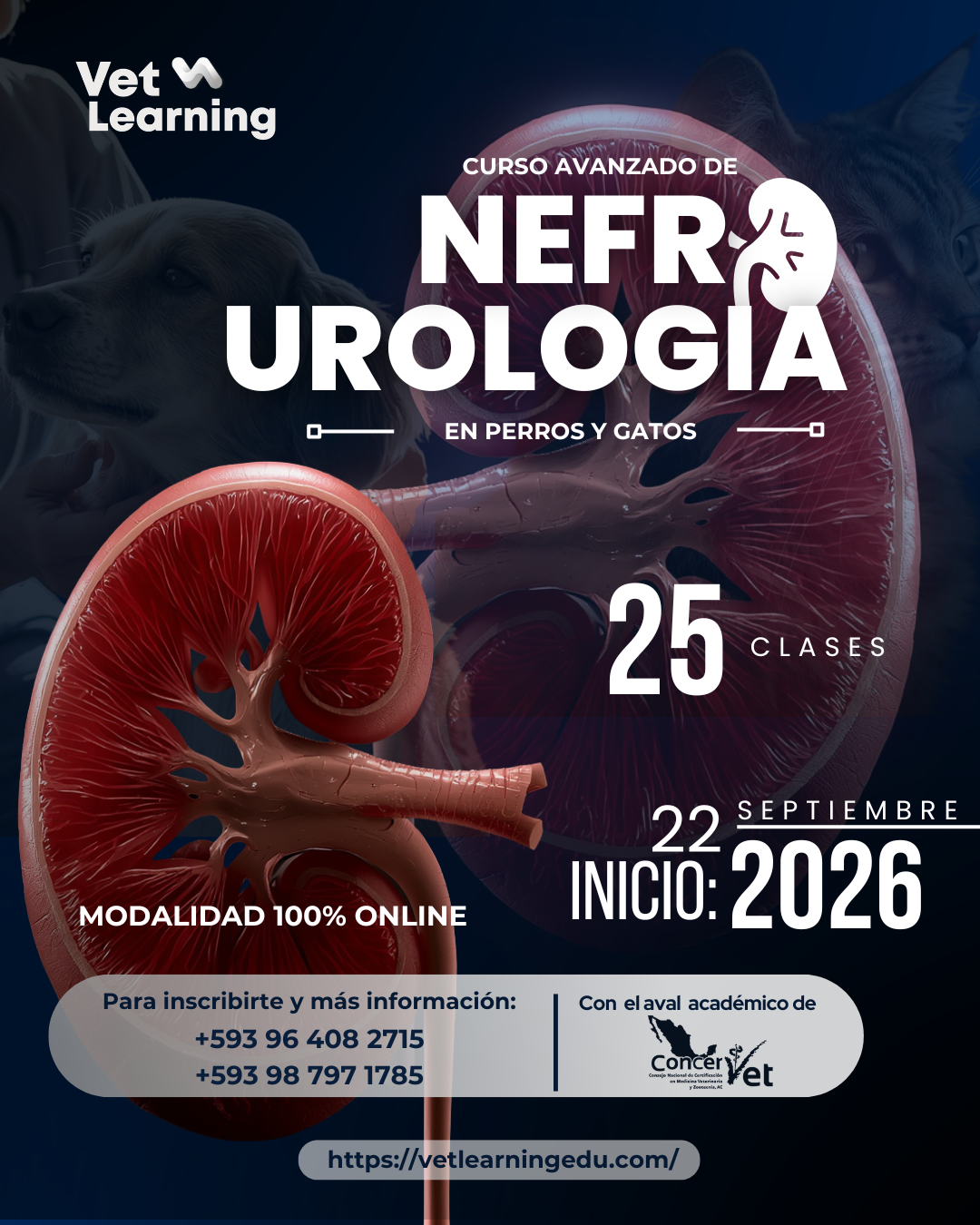 Nefrourología Veterinaria